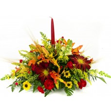Fall Splendor